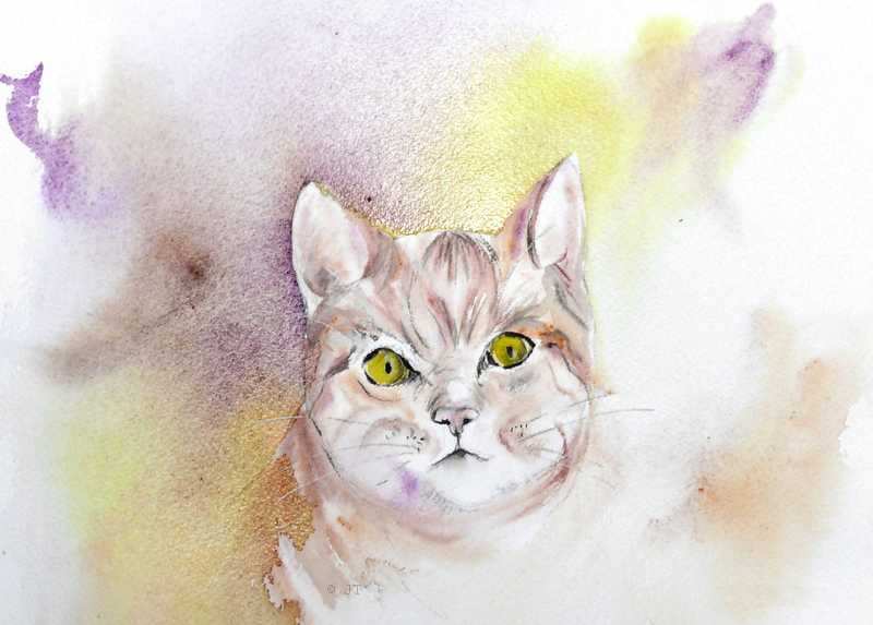 Peindre Une Tete De Chat A L Aquarelle Aquarelle Watercolor Creation