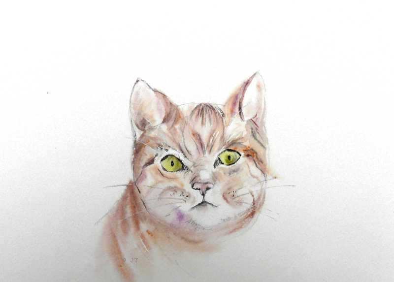 Peindre Une Tete De Chat A L Aquarelle Aquarelle Watercolor Creation